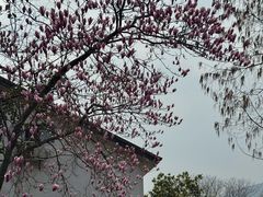-灵顺寺