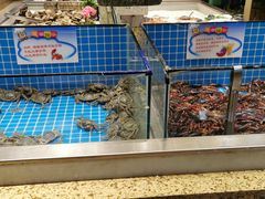 水产区-加尔森烤肉海鲜·火锅烧烤自助