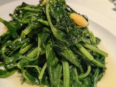 豌豆尖-眉州东坡(望京店)