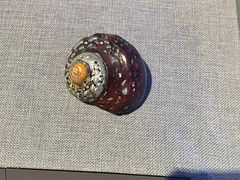 -中国（海南）南海博物馆
