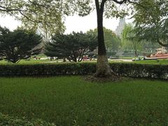 -中央公园(苏州工业园区)