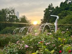 -人民公园(罗湖区)