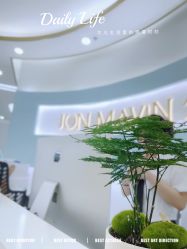 -JONMAVIN·美学