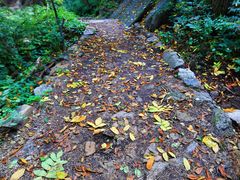 -大岭沟猕猴桃谷风景区