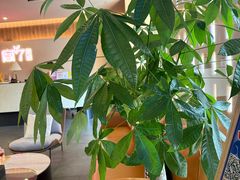 -宫七SPA·高端Massage(浦东大道店)