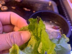 -火牛火韩式烤肉韩国料理(韩乐坊店)