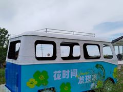 -杭州湾海上花田景区