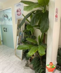 -健身堂科技美肌SPA
