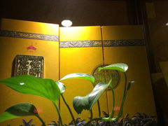 iphone_upload_pic-爱新觉罗皇家博物院