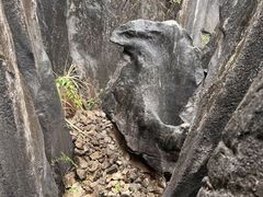 -玉石林风景区