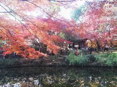 -秋霞圃