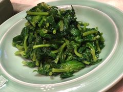 葱油豌豆尖-唐廊烤鸭店(工体店)