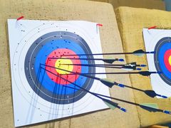 -蓝天射箭馆·专业射箭运动(诚丰广场店)