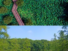 -同里国家湿地公园