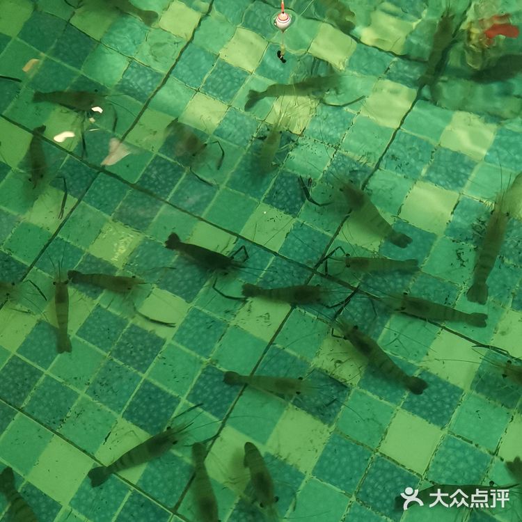 正巨虾·室内钓虾馆（大华虎城店）