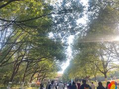 -南京市江宁方山