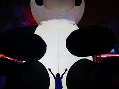 -北京石景山游乐园