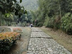 -仙霞关景区