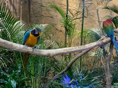 -杭州开元森泊度假乐园