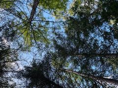 -峡谷浮石林景区