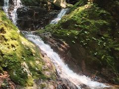 -本溪汤沟绿石谷森林公园
