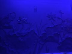 -水晶之星洗浴温泉汗蒸