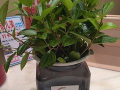 -倍儿美海鲜排挡·非遗海鲜蒸饺(总店)