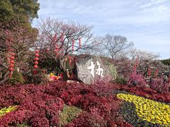 -无锡梅园公园