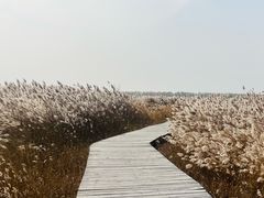 -野鸭湖国家湿地公园