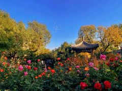 -春风习习