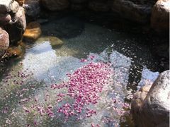 -厦门日月谷温泉渡假村