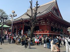 -浅草寺