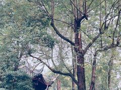 -成都杜甫草堂博物馆