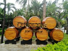 -芽庄中心购物广场