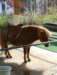 -萌宠亲子动物乐园(槐房万达店)