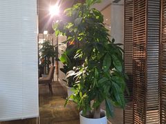 -德永枣香烤鸭(官舍店)