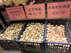 -园林美食城·本土农家菜(杨和镇店)