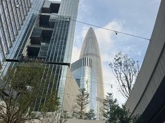 -深圳湾万象城(南山店)