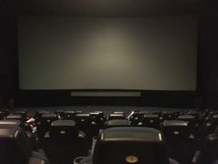 -AMG海上明珠影城(上海环球港RealDCinema店)