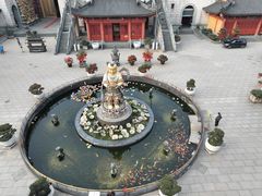 -上海东林寺(金山区)