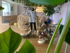 -Husky Go! 哈士奇体验馆·宠物咖啡厅狗咖