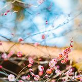 宁波｜慧日禅寺，99.9%的人都不知道的小众寺庙