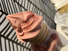 红豆双皮奶风味圆筒-麦当劳(文化西路店)