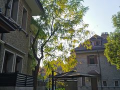 -星巴克臻选(思南公馆店)