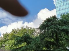 -静安公园(静安寺街道)