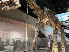 -长江文明馆