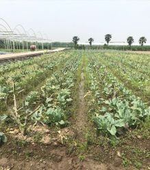 -麦粒鸟亲子游