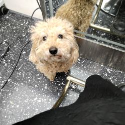 -Hair Co.一间沙龙