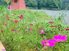 -广州市石门国家森林公园