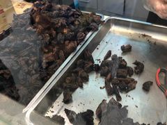 -都士牧人现烤牛肉干